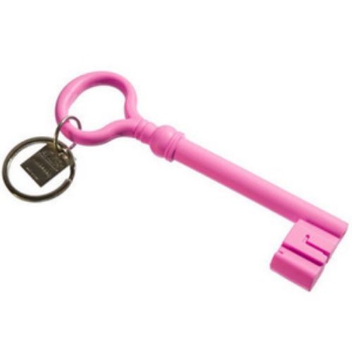Reality Keychain Key  Pink