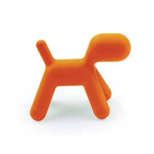 Puppy  Orange